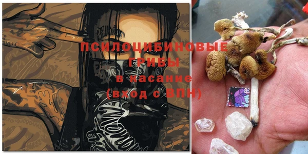 гидропоника Белокуриха
