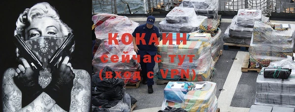 не бодяженный Бородино