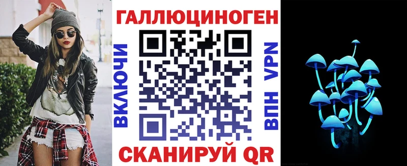 Псилоцибиновые грибы мицелий  Губкинский 
